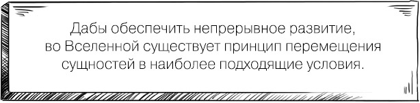 Мир, в который я смотрю. Практики обретения силы и путь осознания себя Мир, в который я смотрю. Практики обретения силы и путь осознания себя