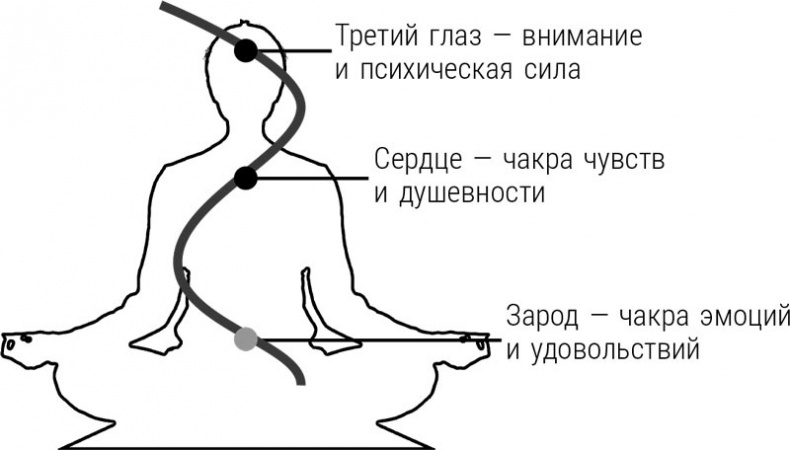 Научись быть экстрасенсом. #Магия чистого сознания Научись быть экстрасенсом. #Магия чистого сознания