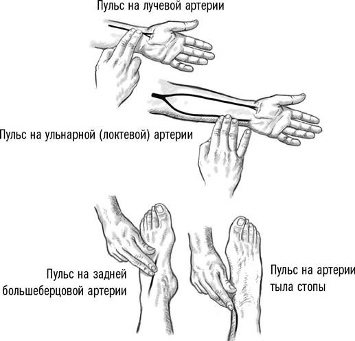 Первая помощь своими руками. Если скорая не спешит Первая помощь своими руками. Если скорая не спешит