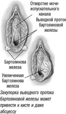 Первая помощь своими руками. Если скорая не спешит Первая помощь своими руками. Если скорая не спешит