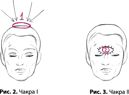 Тайное знание не для всех. Секреты целителя Тайное знание не для всех. Секреты целителя