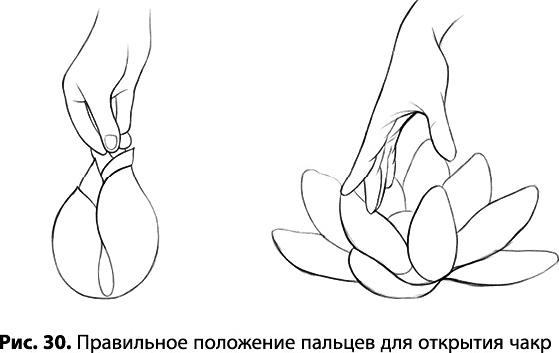 Тайное знание не для всех. Секреты целителя Тайное знание не для всех. Секреты целителя
