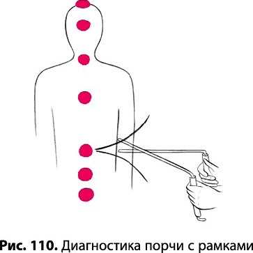 Тайное знание не для всех. Секреты целителя Тайное знание не для всех. Секреты целителя