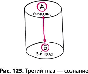 Тайное знание не для всех. Секреты целителя Тайное знание не для всех. Секреты целителя