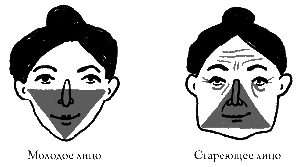 Что скрывает кожа. 2 квадратных метра, которые диктуют, как нам жить Что скрывает кожа. 2 квадратных метра, которые диктуют, как нам жить