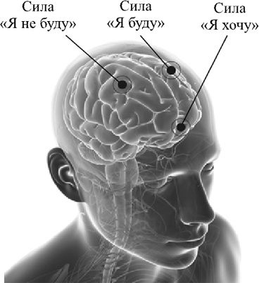 Ультиматум удовольствия Ультиматум удовольствия