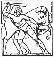 История античного атлетизма История античного атлетизма