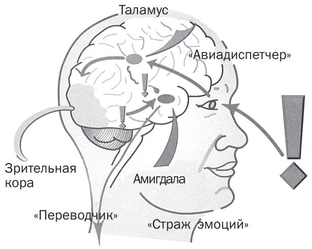 Спасите заложника. Как разрешать конфликты и влиять на людей Спасите заложника. Как разрешать конфликты и влиять на людей