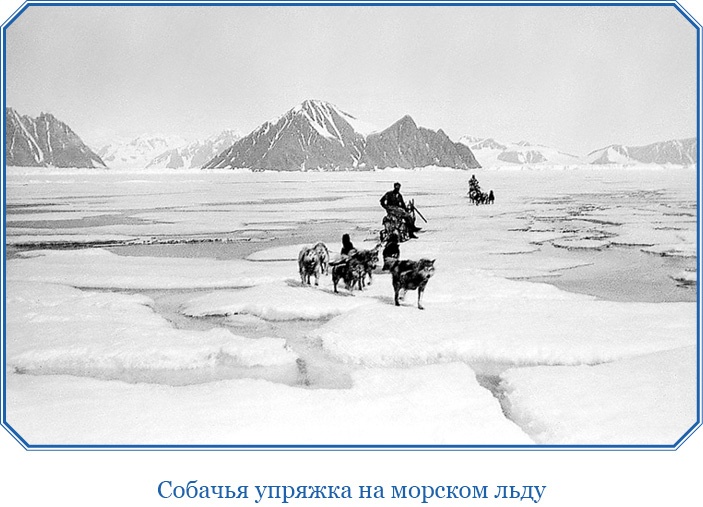 Моя жизнь. Южный полюс Моя жизнь. Южный полюс
