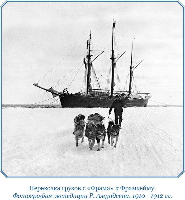 Моя жизнь. Южный полюс Моя жизнь. Южный полюс