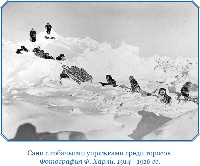 Моя жизнь. Южный полюс Моя жизнь. Южный полюс