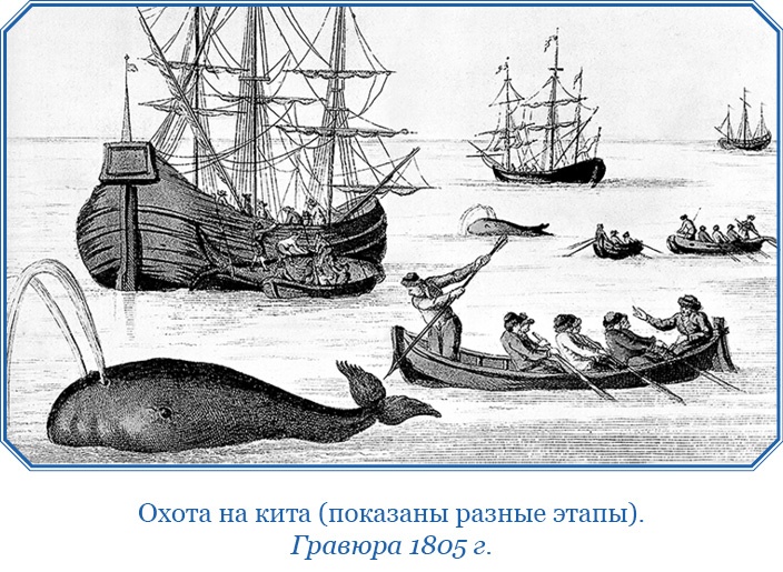 Путешествие по Сибири и Ледовитому морю Путешествие по Сибири и Ледовитому морю