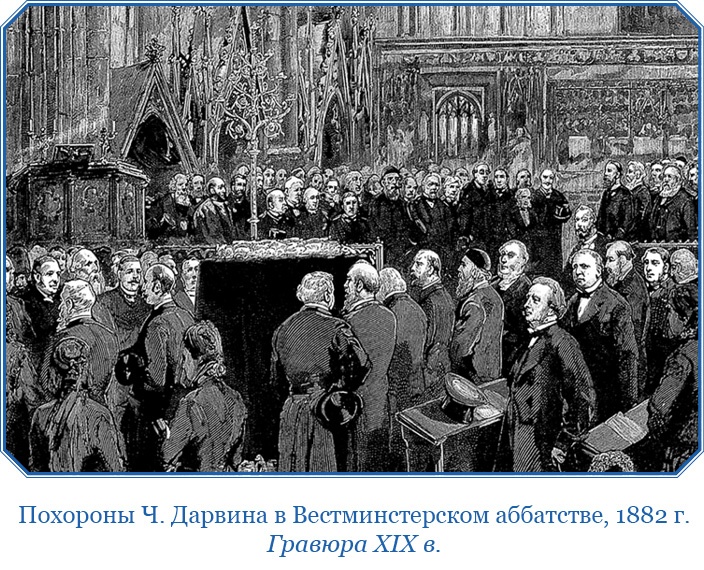 Путешествие вокруг света на корабле «Бигль» Путешествие вокруг света на корабле «Бигль»