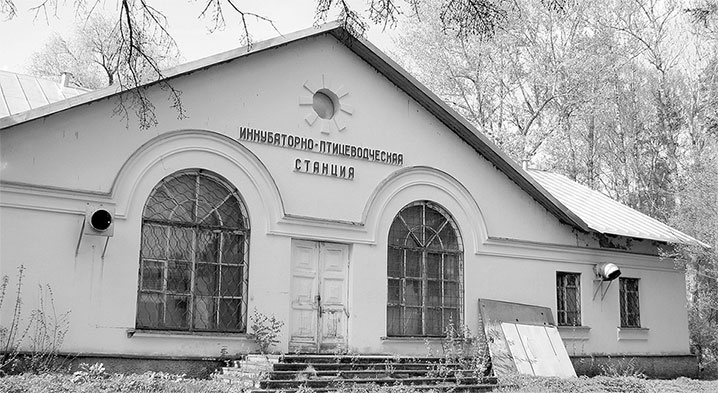 Восьмое чудо света. ВСХВ-ВДНХ-ВВЦ Восьмое чудо света. ВСХВ-ВДНХ-ВВЦ