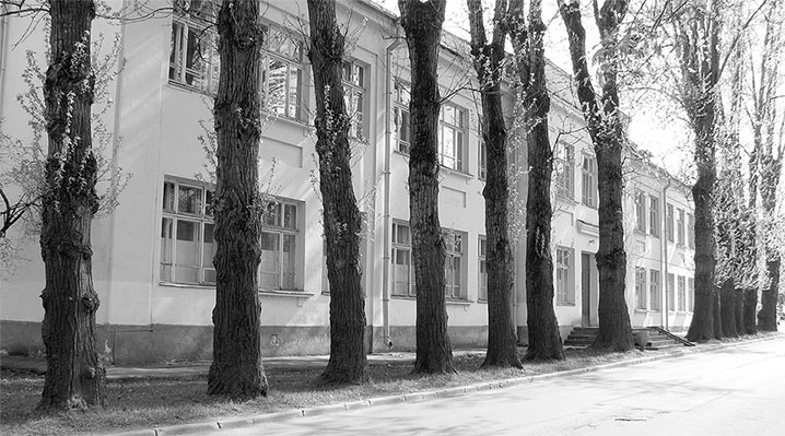 Восьмое чудо света. ВСХВ-ВДНХ-ВВЦ Восьмое чудо света. ВСХВ-ВДНХ-ВВЦ