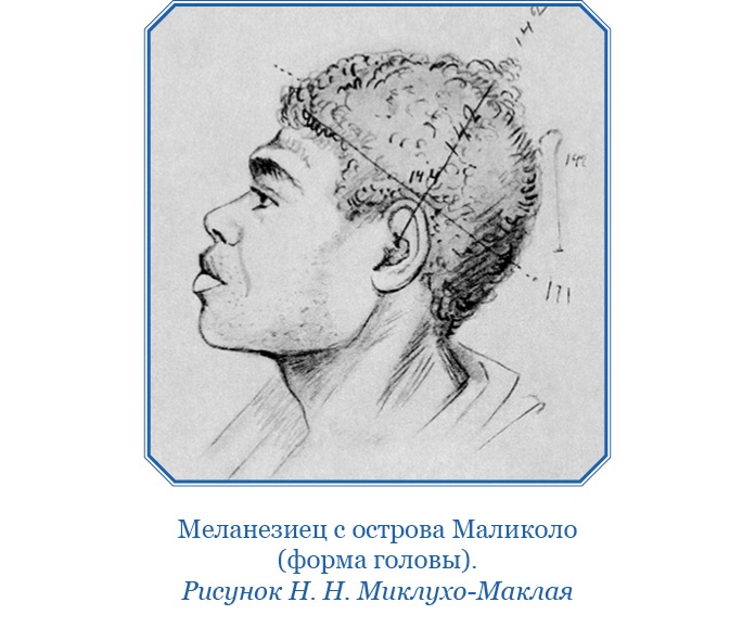 Путешествие на берег Маклая Путешествие на берег Маклая