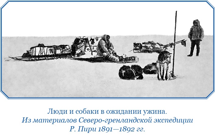 По большому льду. Северный полюс По большому льду. Северный полюс