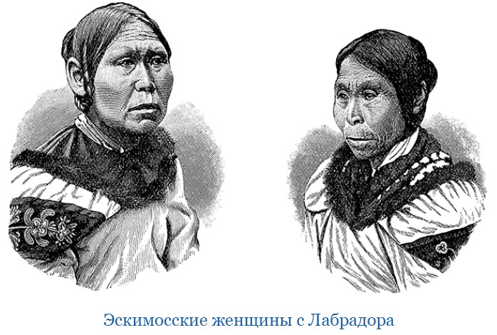 По большому льду. Северный полюс По большому льду. Северный полюс