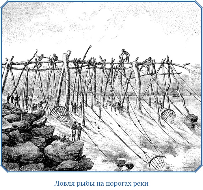 В дебрях Африки В дебрях Африки