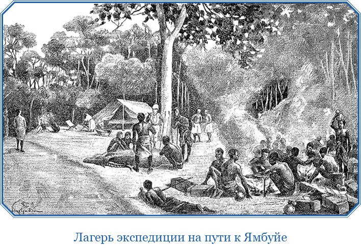 В дебрях Африки В дебрях Африки
