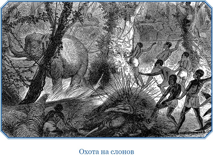 В дебрях Африки