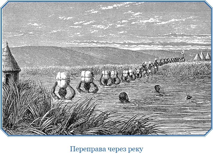 В дебрях Африки В дебрях Африки