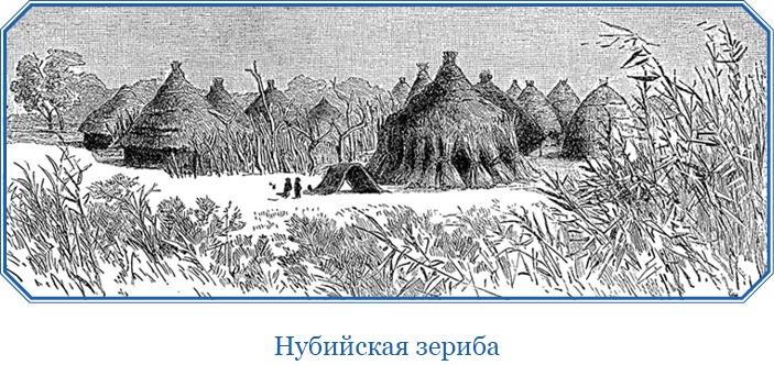 В дебрях Африки В дебрях Африки