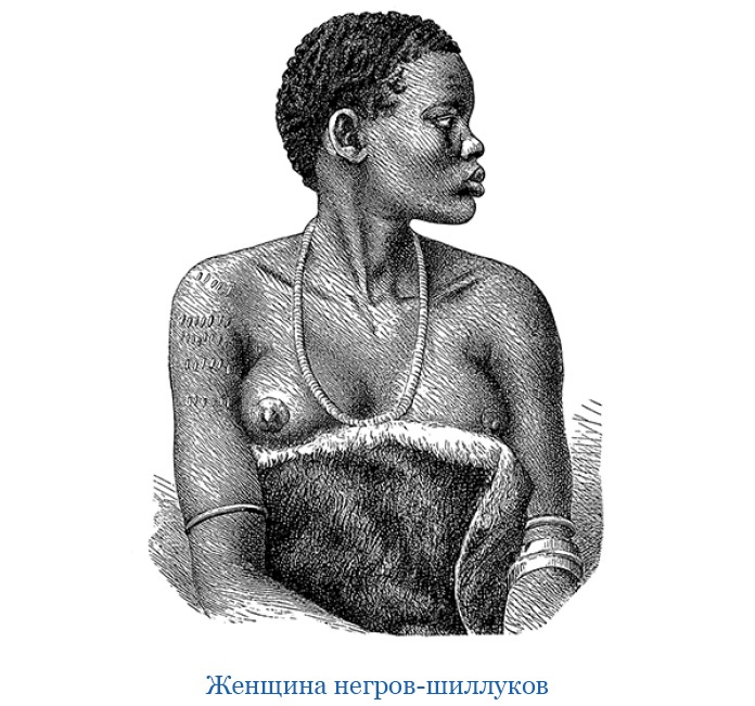 В дебрях Африки В дебрях Африки