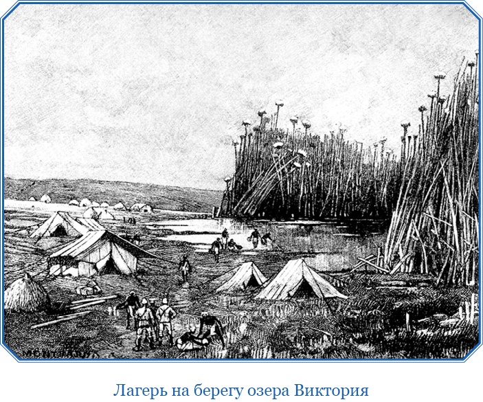 В дебрях Африки В дебрях Африки