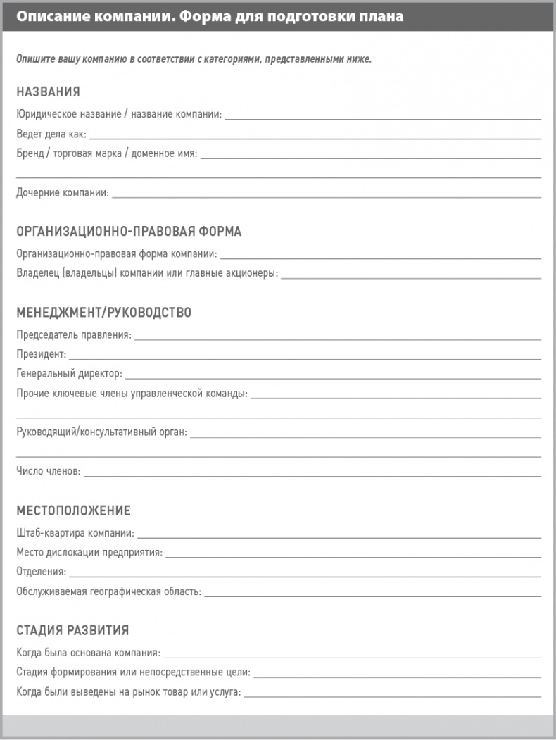 Бизнес-план на 100%. Стратегия и тактика эффективного бизнеса Бизнес-план на 100%. Стратегия и тактика эффективного бизнеса
