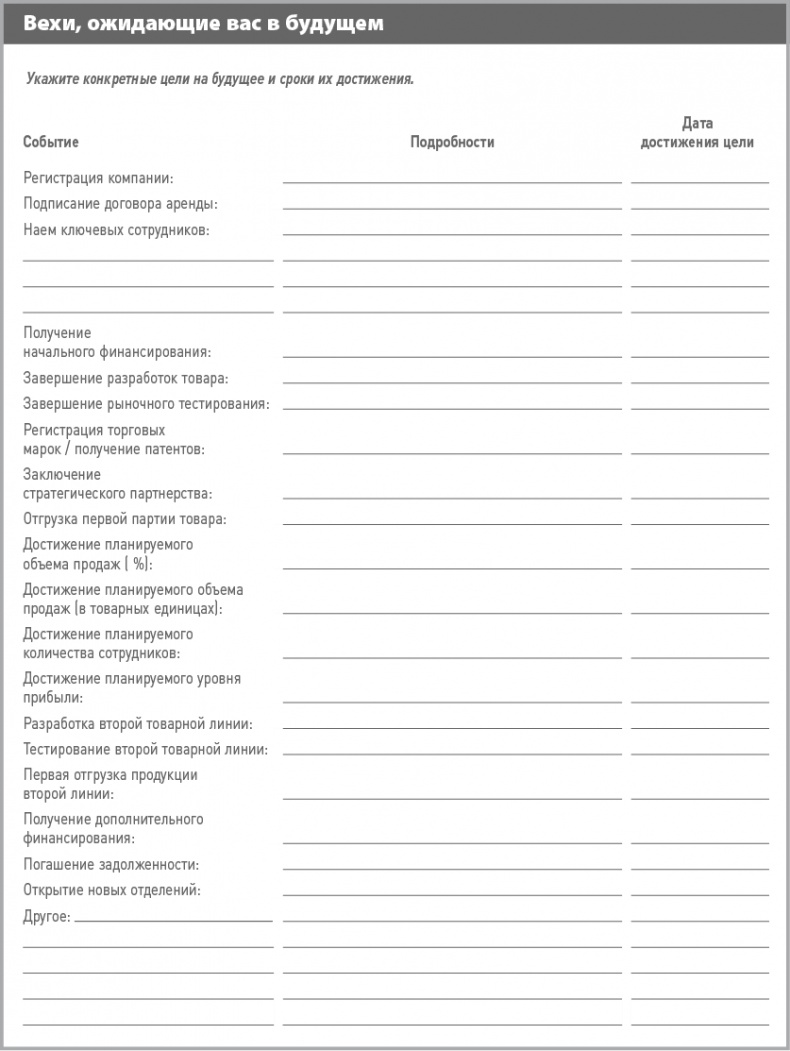Бизнес-план на 100%. Стратегия и тактика эффективного бизнеса Бизнес-план на 100%. Стратегия и тактика эффективного бизнеса