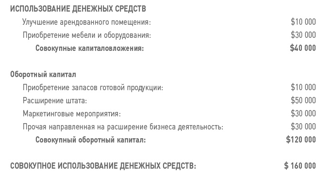 Бизнес-план на 100%. Стратегия и тактика эффективного бизнеса Бизнес-план на 100%. Стратегия и тактика эффективного бизнеса