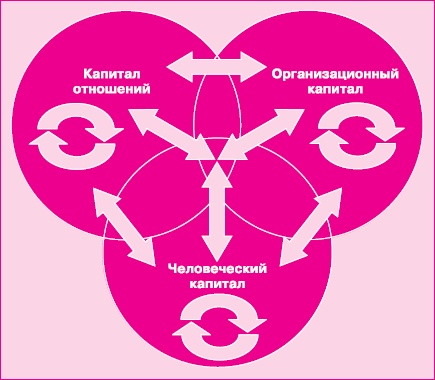 Управление знаниями. Как превратить знания в капитал