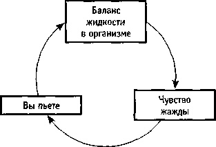 Искусство системного мышления. Необходимые знания о системах и творческом подходе к решению проблем Искусство системного мышления. Необходимые знания о системах и творческом подходе к решению проблем