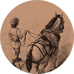 Счастливый клевер человечества. Всеобщая история открытий, технологий, конкуренции и богатства