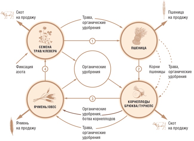 Счастливый клевер человечества. Всеобщая история открытий, технологий, конкуренции и богатства