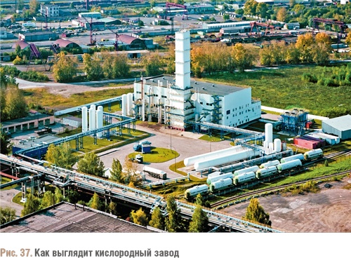 Счастливый клевер человечества. Всеобщая история открытий, технологий, конкуренции и богатства