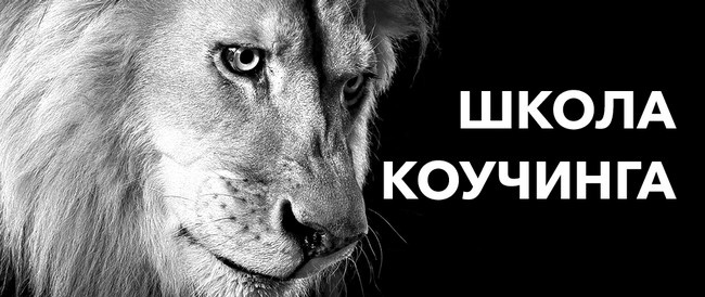 Бизнес. Законы, которые видны только с высоты успеха