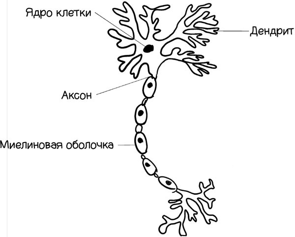 Как запомнить всё! Секреты чемпиона мира по мнемотехнике Как запомнить всё! Секреты чемпиона мира по мнемотехнике