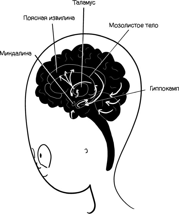 Как запомнить всё! Секреты чемпиона мира по мнемотехнике