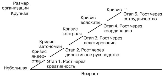 Теория организации