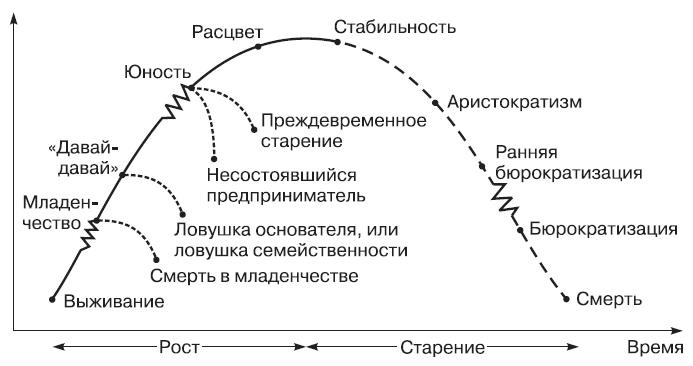 Теория организации