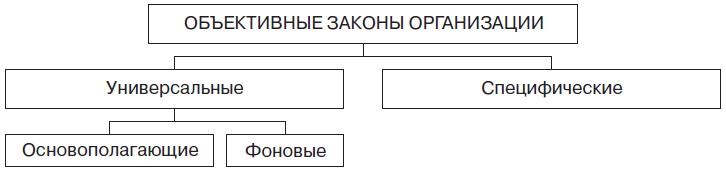 Теория организации