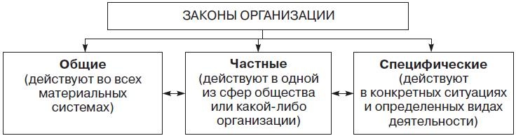 Теория организации