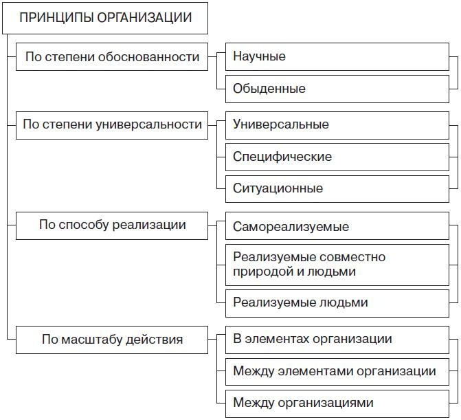 Теория организации