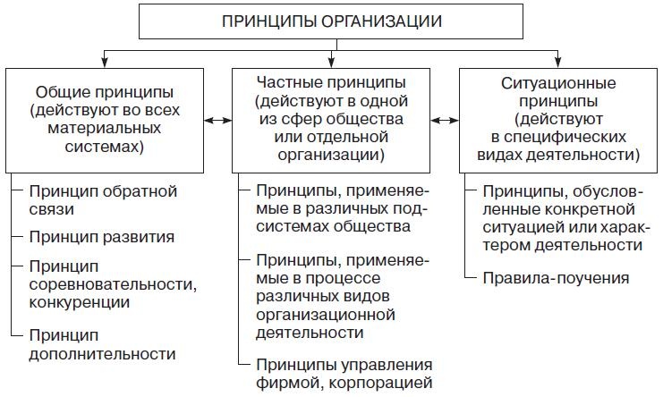 Теория организации
