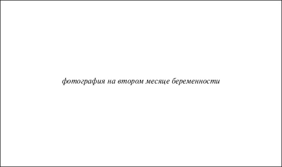 В ожидании малыша (обновленное издание) В ожидании малыша (обновленное издание)