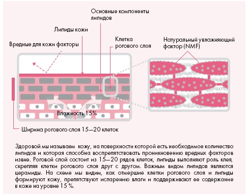 Корейская философия красоты. Smart-подход для идеальной кожи без дорогостоящих вложений Корейская философия красоты. Smart-подход для идеальной кожи без дорогостоящих вложений