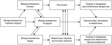 Микроэлементы. Бодрость, здоровье, долголетие Микроэлементы. Бодрость, здоровье, долголетие