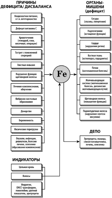 Микроэлементы. Бодрость, здоровье, долголетие Микроэлементы. Бодрость, здоровье, долголетие